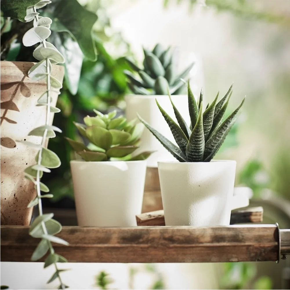 🪴3 PACK Succulent🪴 Artificial Potted Plant Succulent 3 Pack Home Decor Cactus